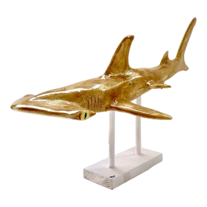 Handmade Sculptural Glazed Ceramic Hammerhead Shark