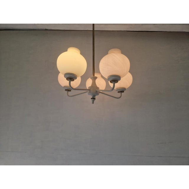 Mid-Century Modern Mid-Century Tulip Glass Chandelier, 1950s For Sale - Image 3 of 16