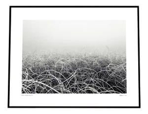 'Seabed' Photograph by Enric Gener Black Framed