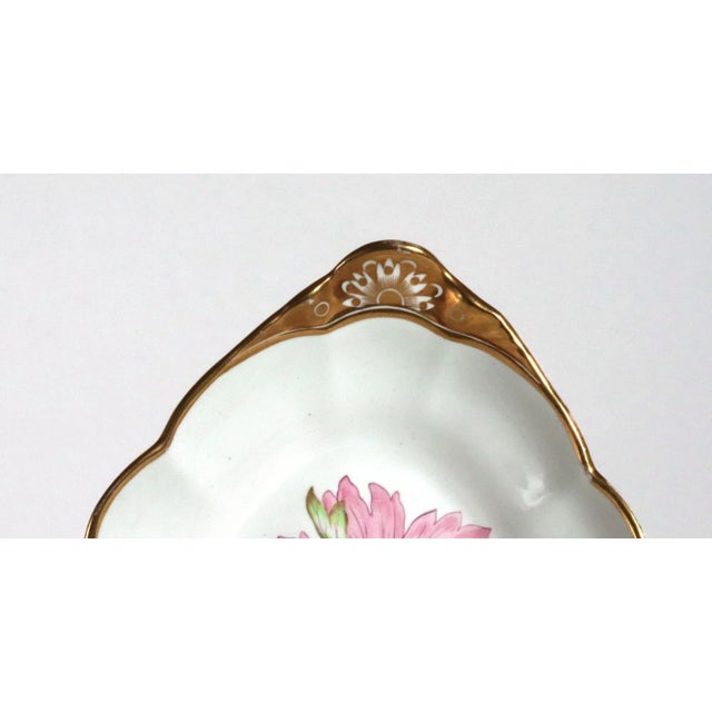 Early 19th Century Spode Porcelain Botanical Specimen Dishes- a Pair. After William Curtis For Sale - Image 5 of 12