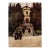 1905 Italian Original Print - The Franciscan Monastery - From Book Florence & Some Tuscan Cities (1905) For Sale