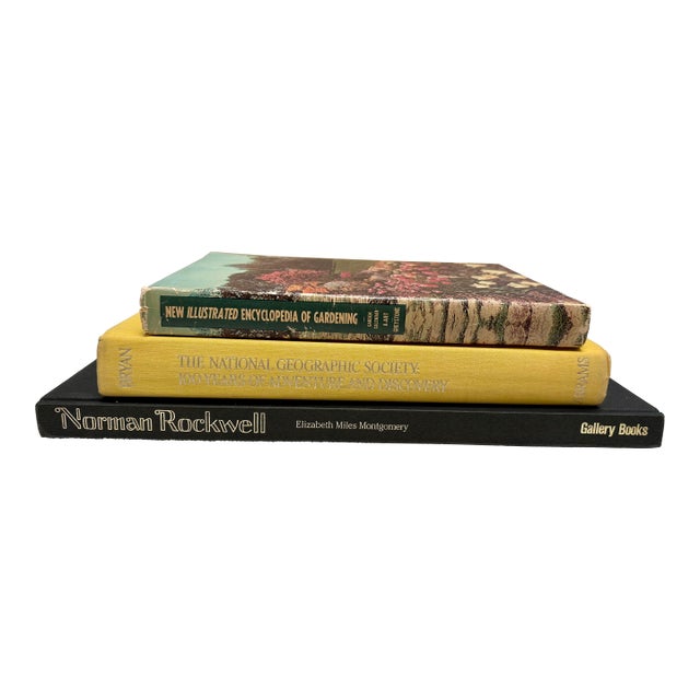 Vintage Large Set of Three Historical Reference & Art Books For Sale