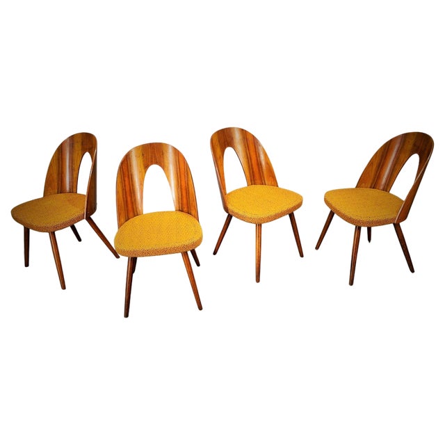 Dining Chairs in Walnut Finish by Antonin Suman, Czechoslovakia, 1960s, Set of 4 For Sale