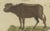 Early 19th Century Antique Indian Cattle, Buffalo & Musk Ox Engraving from Bertuch, 1796 For Sale - Image 5 of 10