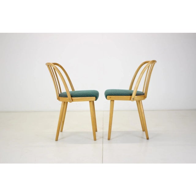 Wood Czechoslovakian Dining Chairs by Antonin Suman, 1960s, Set of 4 For Sale - Image 7 of 13