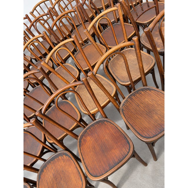 French Wood Bistro Chairs in the style of Thonet, France, 1940, Set of 60 For Sale - Image 9 of 13