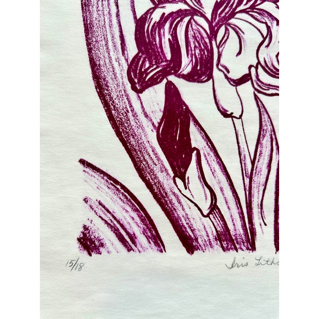 Paper 1980s Original Hand Printed Lithograph “Burgundy Iris” For Sale - Image 7 of 10
