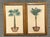 Wood Vintage Coastal Palm Prints - A Pair For Sale - Image 7 of 12