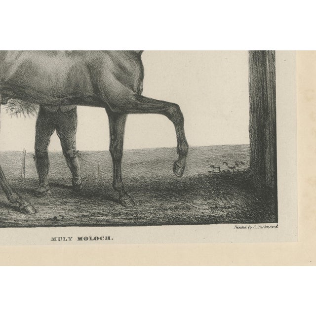 After Chalon, Muly Moloch Sporting Horse, Lithograph, 1840 For Sale - Image 6 of 9