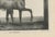 After Chalon, Muly Moloch Sporting Horse, Lithograph, 1840 For Sale - Image 6 of 9
