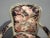 Pair Vintage French Provincial Floral Arm Chairs W Silver Frames For Sale - Image 4 of 12