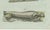 Black Bertuch, Four Seals, 1800, Engraving For Sale - Image 8 of 10
