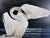 Original painting signed Theo Dodge, lower right. Two white swans at the edge of dark water, one with wings raised....