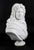 Antique 20th Century Italian Marble Bust of a Nobleman in Armour For Sale - Image 17 of 18