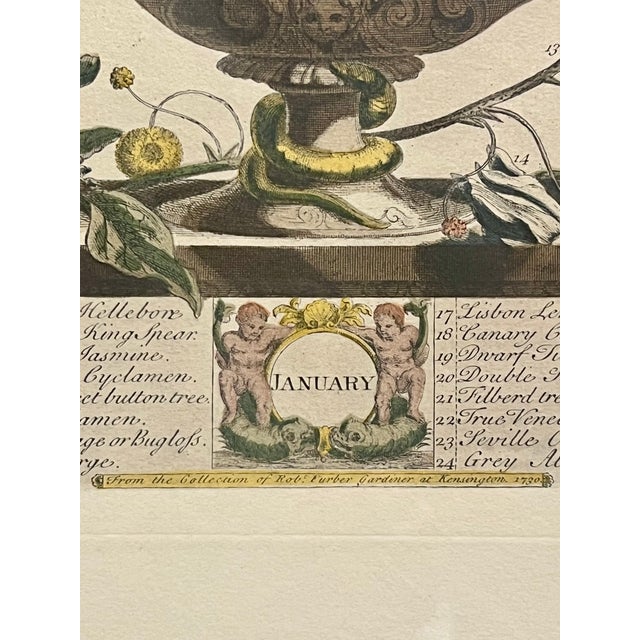Late 20th Century Framed Prints, 12 Months of Flowers by Robert Furber Orig. 1730 - Set of Four For Sale - Image 14 of 18
