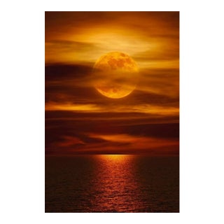 "Moonlight Reflections" (La Jolla, Ca), Limited Edition Photograph by Peter Lik For Sale