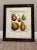 18th Century Inspired Botanical Pear Prints, A Pair For Sale In Chicago - Image 6 of 7