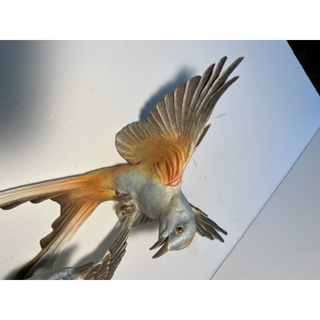 Mid 20th Century Dorothy Doughty Scissor Tailed Flycatchers - a Pair For Sale - Image 15 of 16