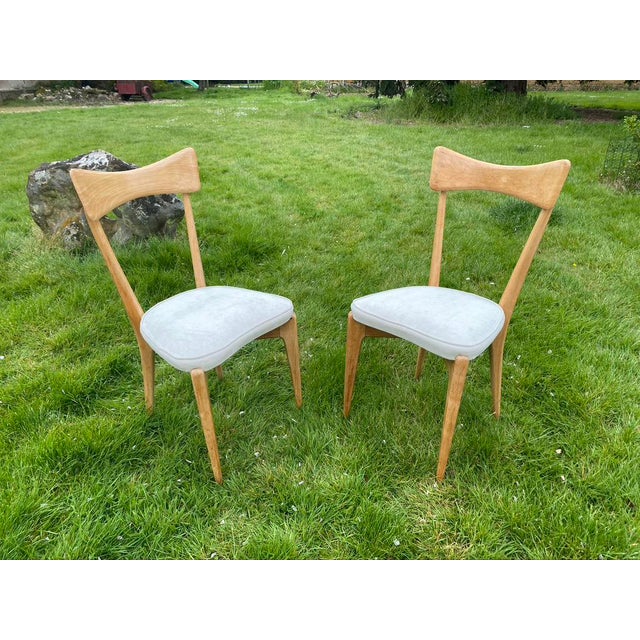 Set of Chairs by Ico Parisi for Ariberto Colombo, 1950s For Sale - Image 3 of 8