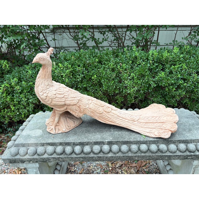 Vintage Italian Terracotta Peacock Sculpture. Offered is a beautiful Tuscan terracotta peacock sculpture from Lucca. This...