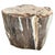 Wood Andrianna Shamaris Ancient Petrified Wood Side Table or Coffee Table For Sale - Image 7 of 18