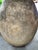 More information coming soon… A large Biot jar (from Biot, France), measuring over 39 inches tall, with a diameter of 31...