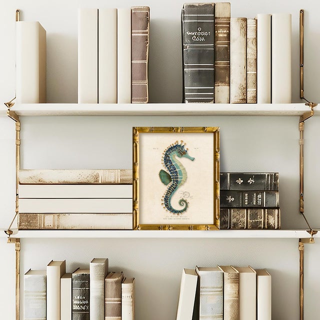 This is our framed green seahorse print from our vintage "Les Animaux Marins" series. Please note there are 6 images in...