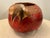Handmade Native American Style Red Gourd Bowl Embellished Approx overall size 10" diameter x 9" tall