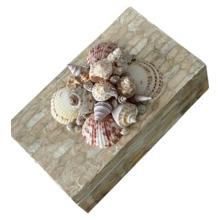 Mid 20 Th C Sea Shells Shell Encrusted Box For Sale