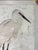 White Egret - Hand-Executed Textured Wall Art | Michele Stone Collection