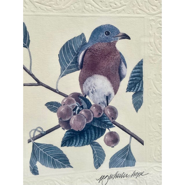 Vintage Peg Wheeler Hope Ornithological "Eastern Bluebird" Framed Embossed Lithograph Print Excellent Condition. For Sale - Image 12 of 17