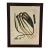 Late 20th Century Oversized Natural Curiosities Harvey Seaweeds Botanical Print – Framed For Sale