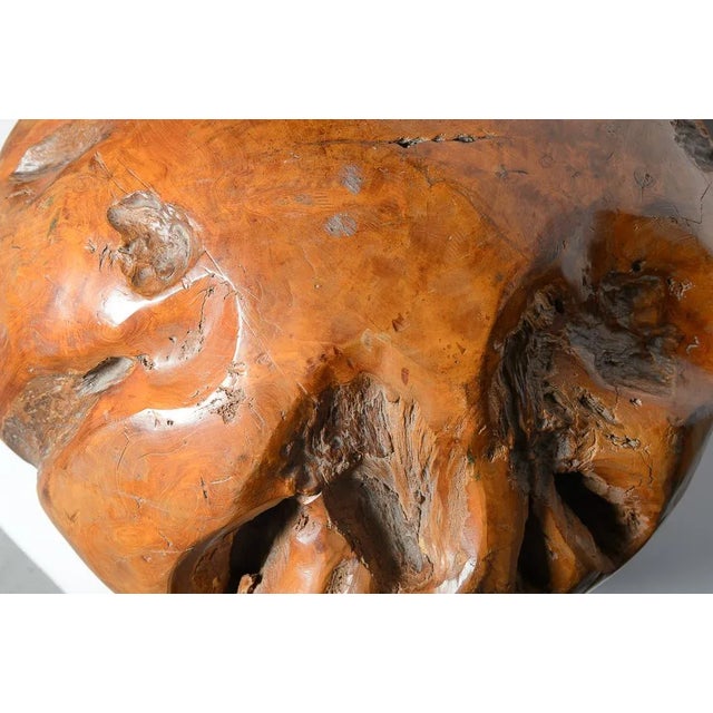 Wood Rare Burl Wood Massive Polished Sphere Sculpture, 21" For Sale - Image 7 of 12