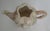 Vintage Ceramic Garlic Bulb Face Tea Pot W/Lid Kitsch Farmhouse Eclectic Fun For Sale - Image 12 of 12