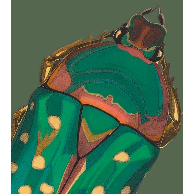 The series was produced by CFA editions from original pochior prints by E.A. Seguy. The series of insects that Seguy...
