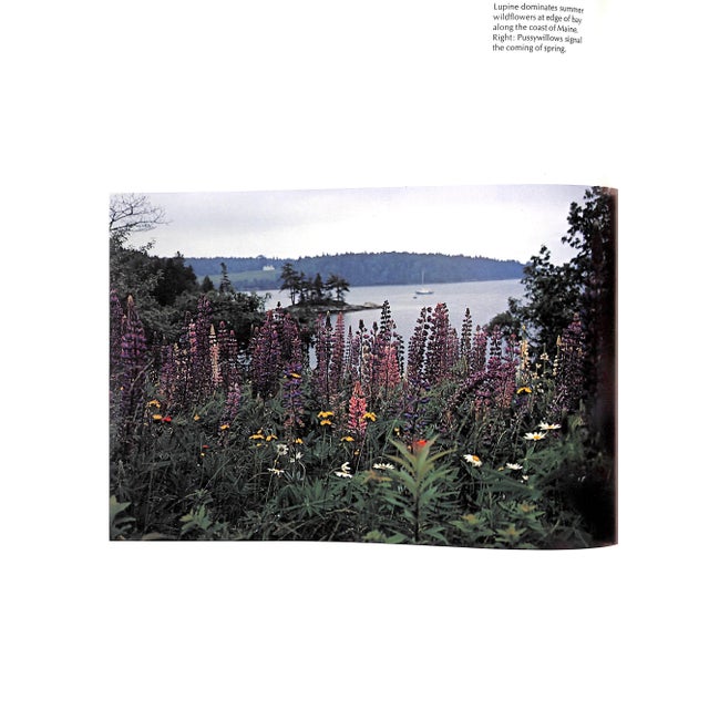 "New England Coast" 1976 Minton, M. Cronan For Sale - Image 4 of 9