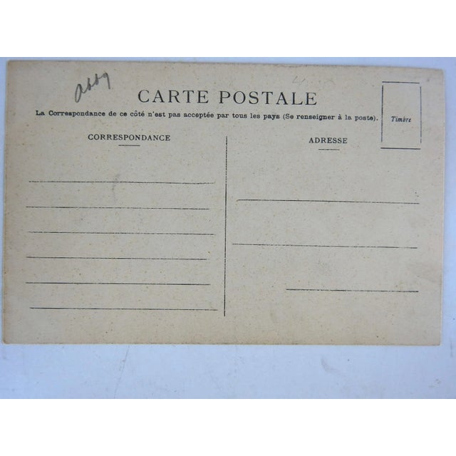 Vintage circa 1930's photographic print postcard. Rearing Barb Horse with rider in traditional dress. Unposted, age toning.