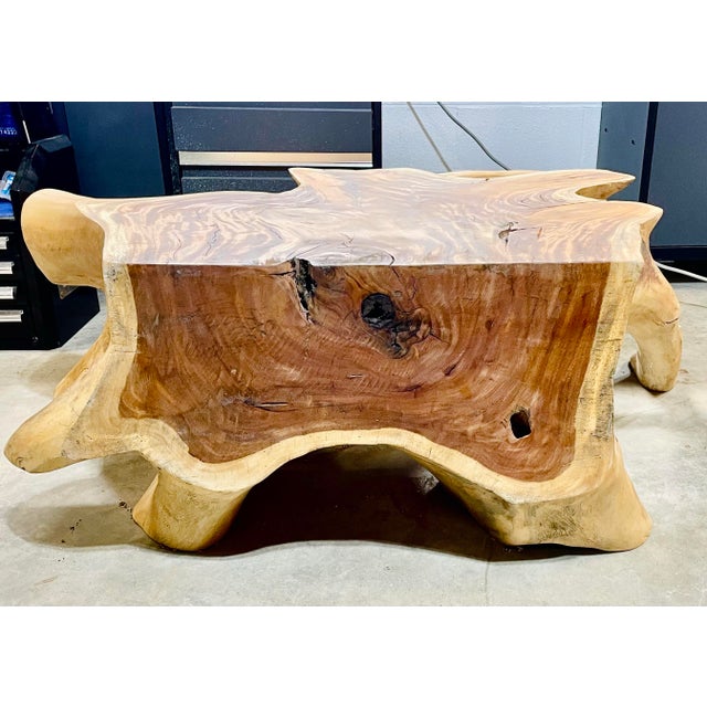 Mid-Century Modern Beautiful Monkey Pod Root Slab/Table For Sale - Image 3 of 8