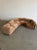 The Curved Perennial For Sale - Image 16 of 18