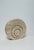 1970s 1970s F.lli Fratelli Mannelli Italian Rapolano Travertine Round Vase For Sale - Image 5 of 9