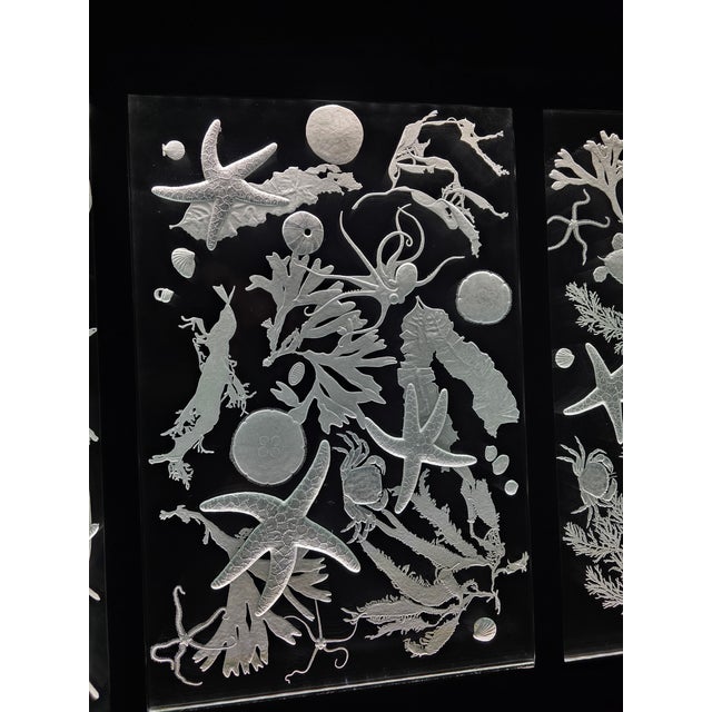 Hand Engraved Sea Life Glass and Metal Coffee Table For Sale - Image 9 of 15