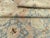 Galerie Shabab Collection Early 20th Century Persian Tabriz Carpet For Sale - Image 10 of 10