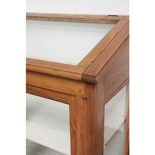 Large Vintage Museum Display Cabinet For Sale - Image 12 of 13