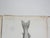 Mid 19th Century Us Pacifc Railroad Fish Lithograph Book Plates - Set of 3 For Sale In Seattle - Image 6 of 9