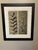 Early 20th Century Set of 8 Botanical Photogravures by Karl Blossfeldt, Berlin, 1932 For Sale - Image 5 of 8