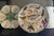 Victorian Wasmuel Majolica Plate / Bowl, Belgium, 1890's For Sale - Image 3 of 6