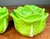 Vintage Green Cabbage Lidded Pottery Bowls - a Pair For Sale - Image 4 of 9