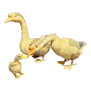 Mid 20th Century Faux Geese Family- Set of 3