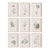 Dainty Flora & Fauna Study, Set Of 9 For Sale