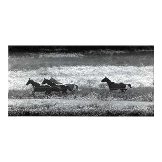 1989 Horses Running Issaquah Washington Photograph For Sale